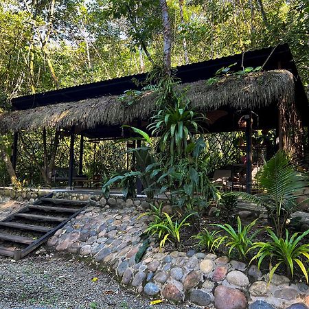 Kuyana Amazon Lodge Archidona 外观 照片