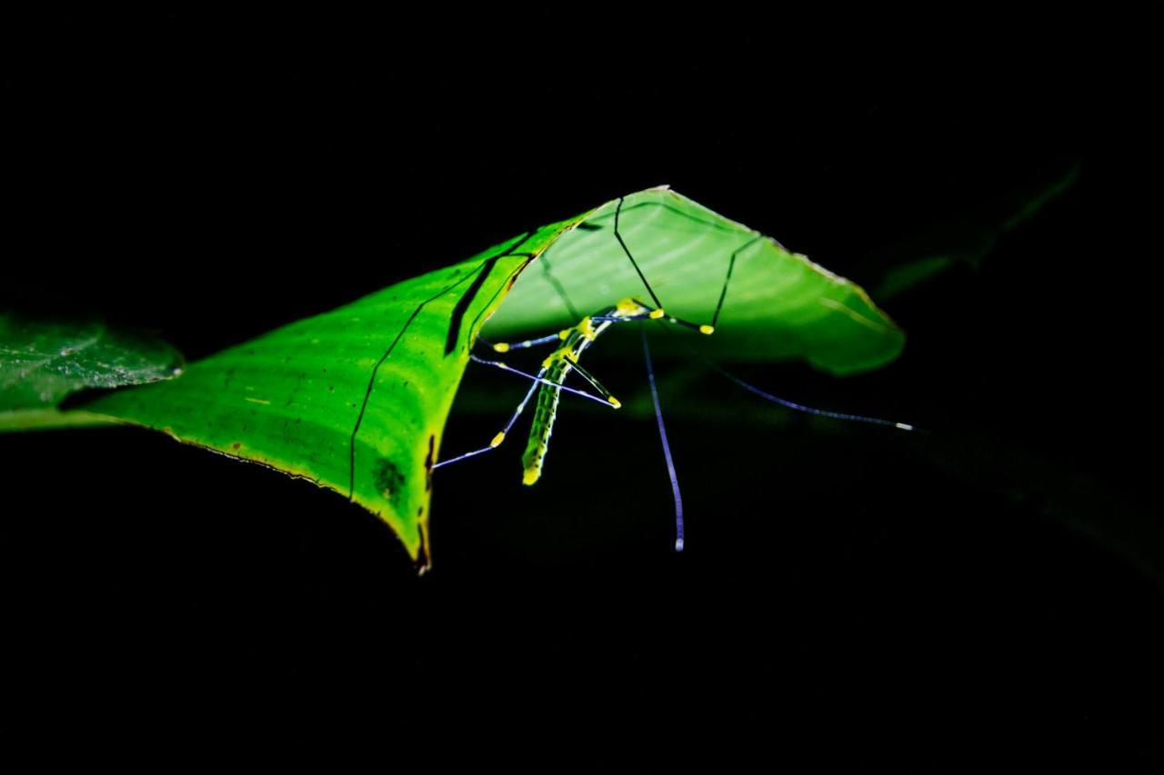 Kuyana Amazon Lodge Archidona 外观 照片