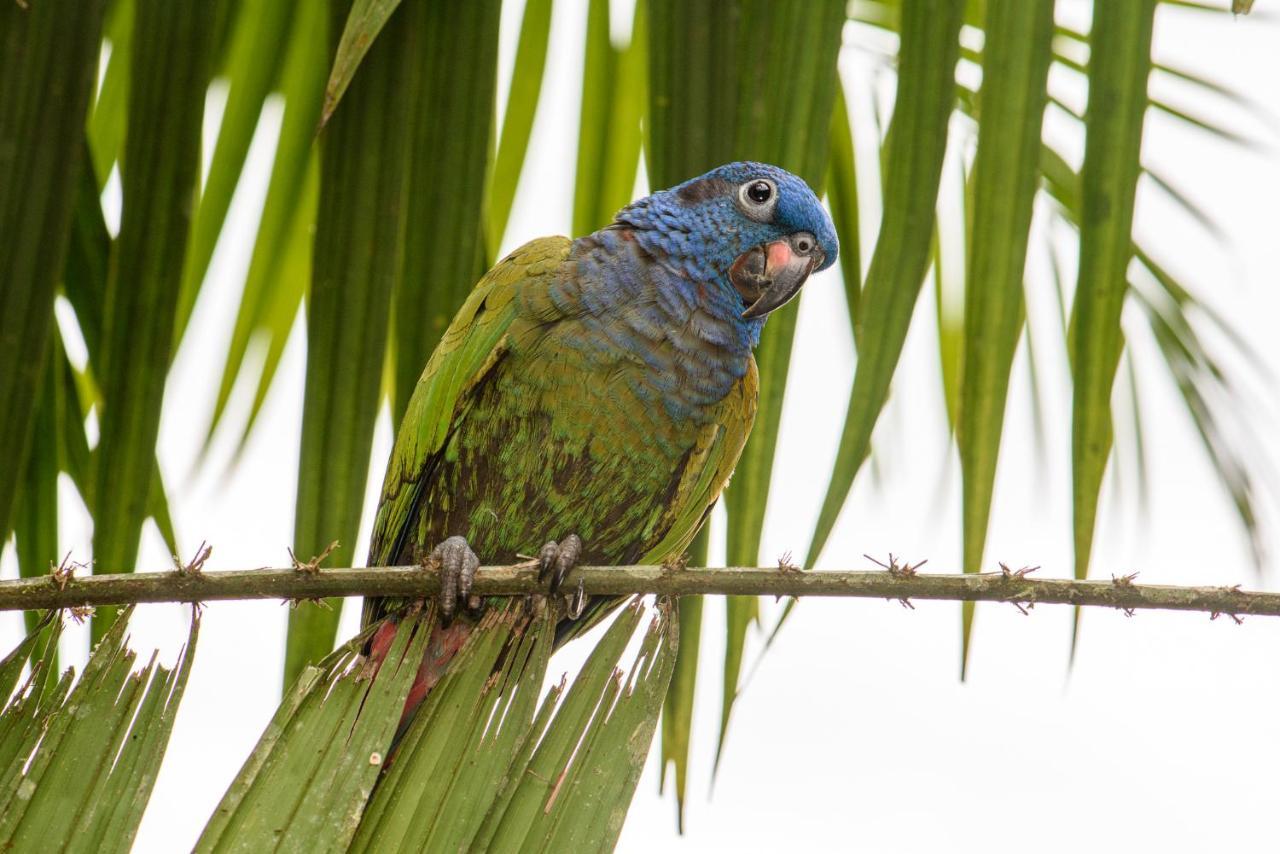 Kuyana Amazon Lodge Archidona 外观 照片
