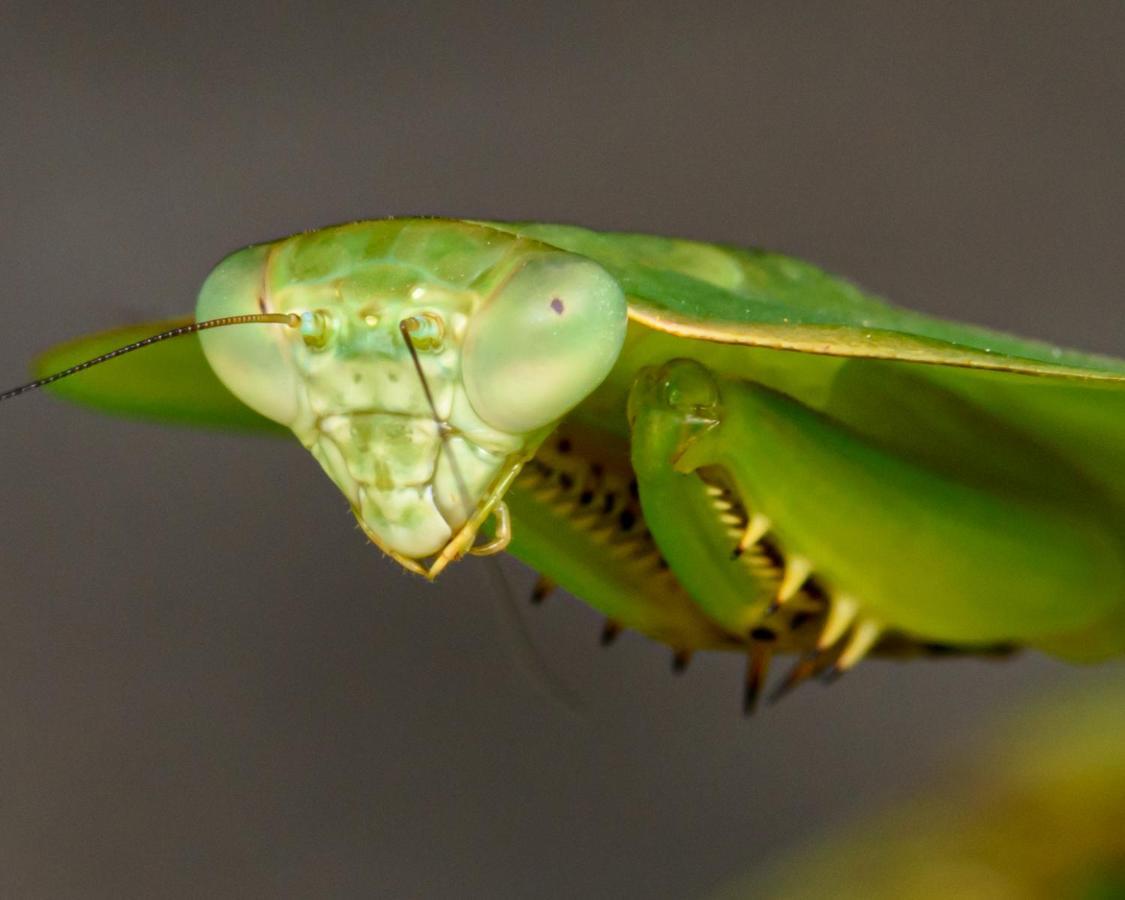 Kuyana Amazon Lodge Archidona 外观 照片