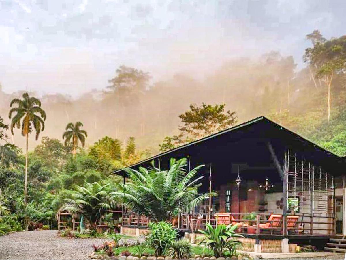 Kuyana Amazon Lodge Archidona 外观 照片